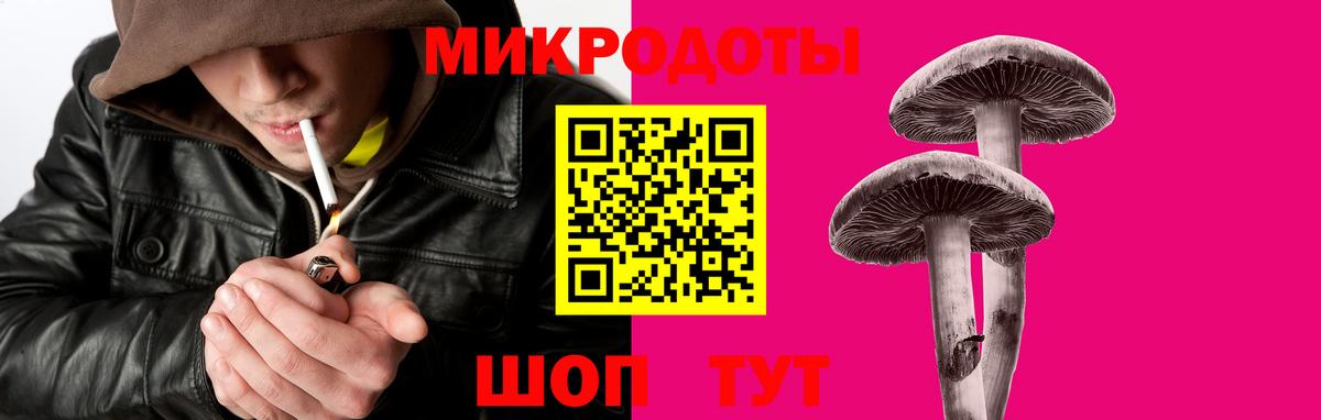 Хасавюрт  Галлюциногенные грибы Psilocybe  Вход с VPN 